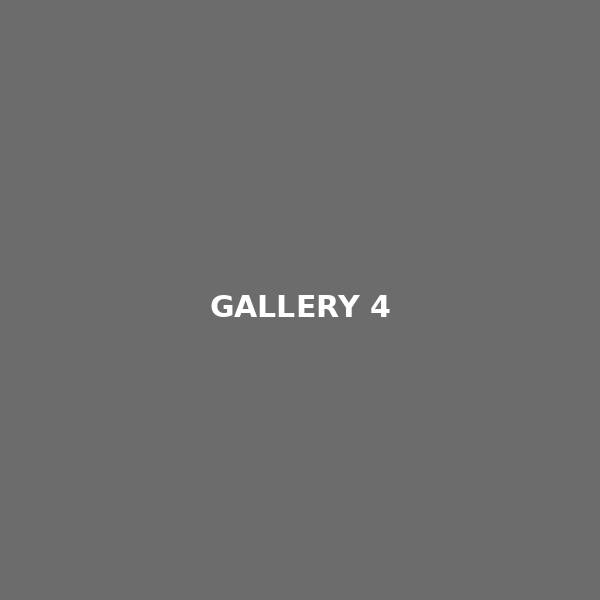 Gallery 4
